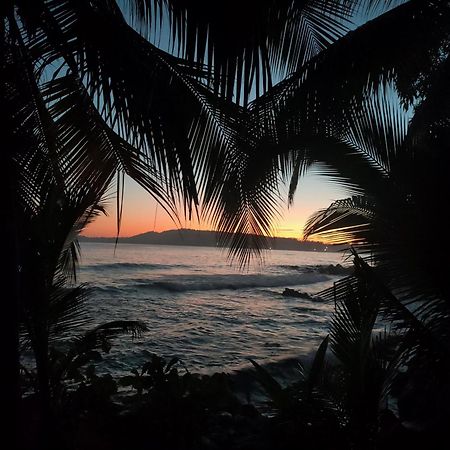 Guesthouse Island Escape South End Esterno foto