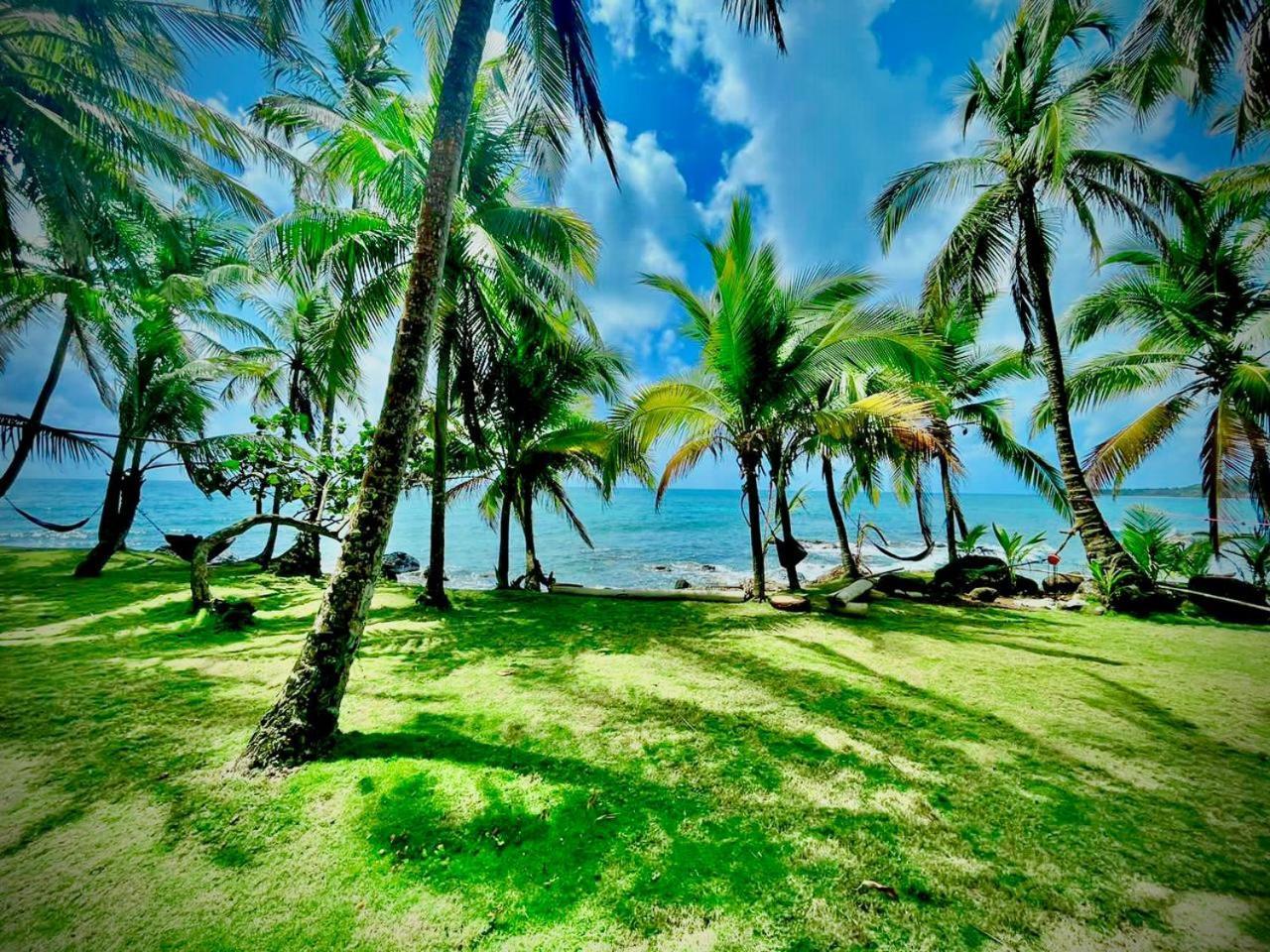 Guesthouse Island Escape South End Esterno foto