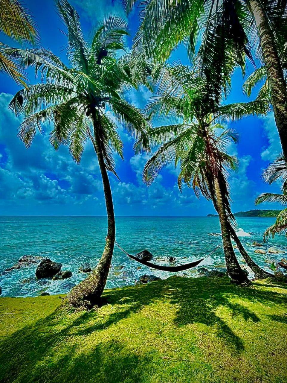 Guesthouse Island Escape South End Esterno foto